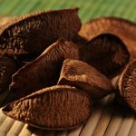 Castanha-da-amazônia: cientistas recomendam medidas para recuperação da safra