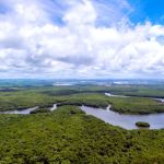 Fundo Clima desembolsa R$ 100 milhões para restauração florestal