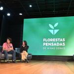 Florestas Pensadas: AMIF anuncia reposicionamento do setor florestal mineiro
