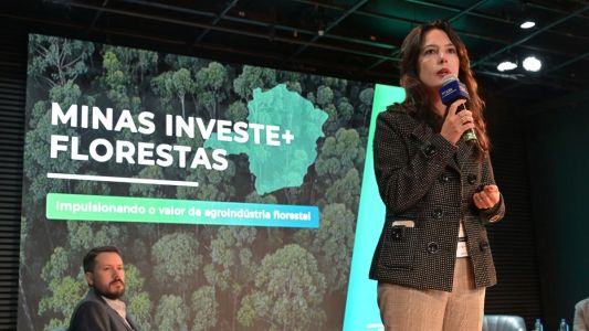 Secretaria de Desenvolvimento Econômico, Mila Corrêa da Costa