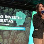 Governo de Minas lançará estudo sobre as regiões mais promissoras do setor florestal