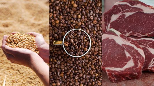 Soja, café e carne bovina foram destaques das exportações