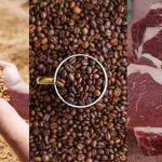 Brasil exporta US$ 15,6 bilhões em produtos do agronegócio em março