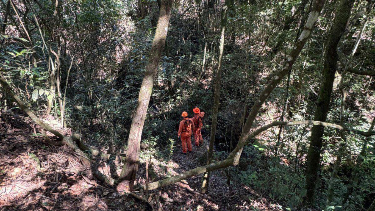 Bombeiros encontram homem que se perdeu no Parque das Mangabeiras, em BH
