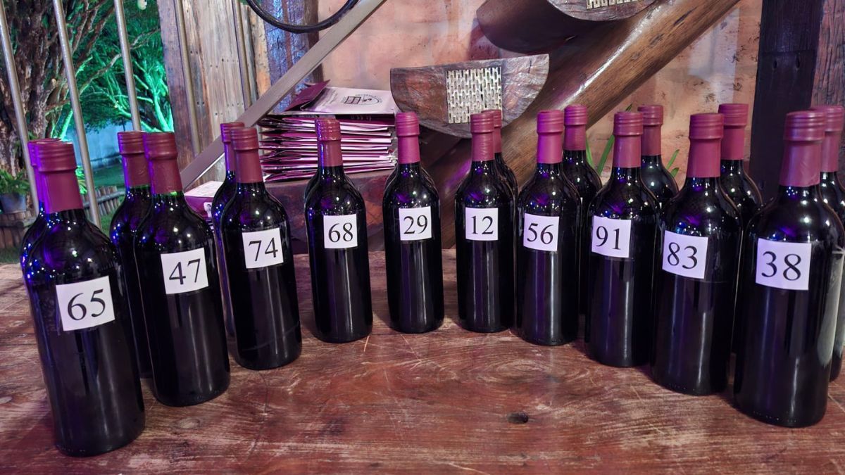 Festa do Vinho tem premiação da bebida com jabuticaba, shows e gastronomia