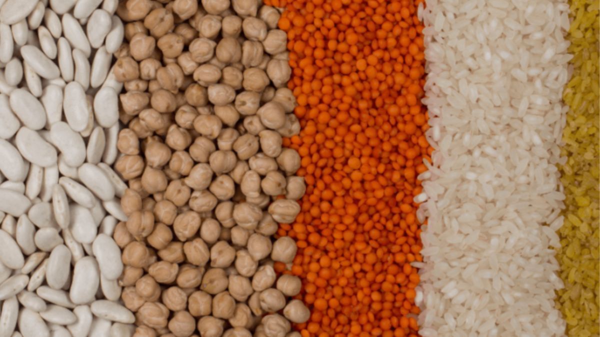 Veja as tendências do mercado de proteínas vegetais até 2034