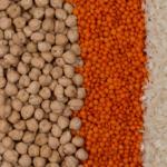 Veja as tendências do mercado de proteínas vegetais até 2034