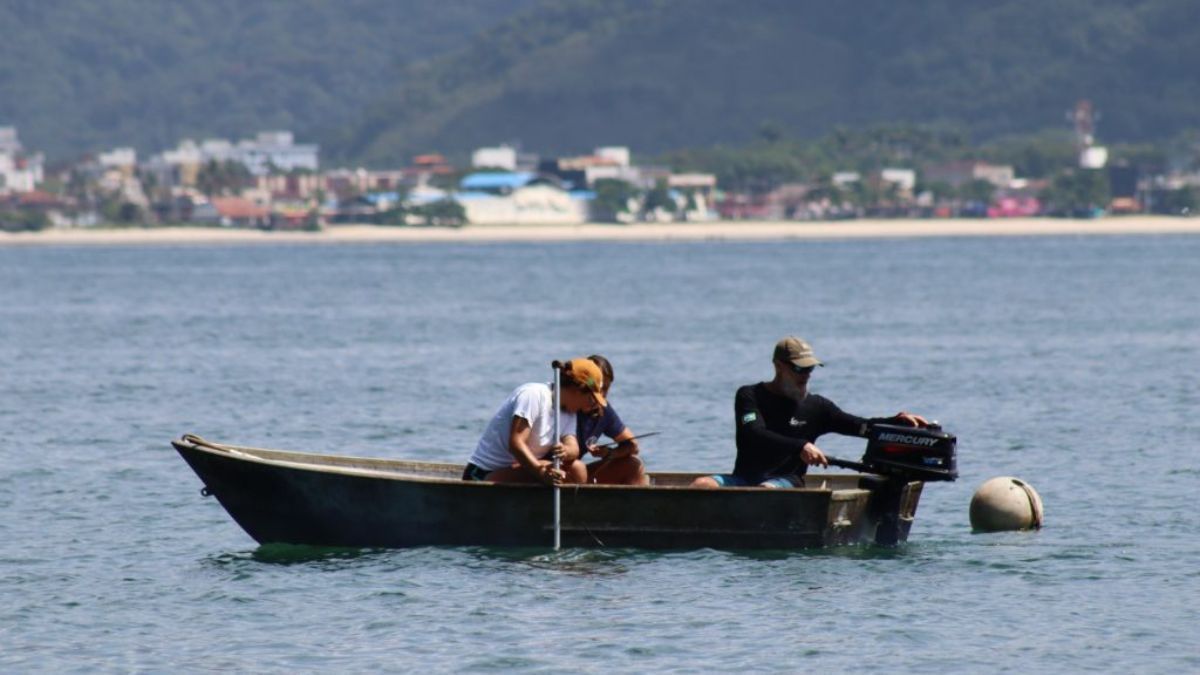 Projeto vai mapear e remover resíduos encontrados no fundo marinho em Ubatuba (SP)