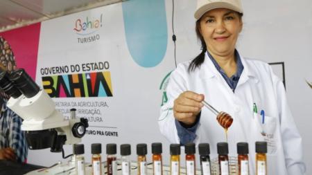 Bahia Farm Show: 2ª edição do Concurso de Qualidade do Mel abre inscrições