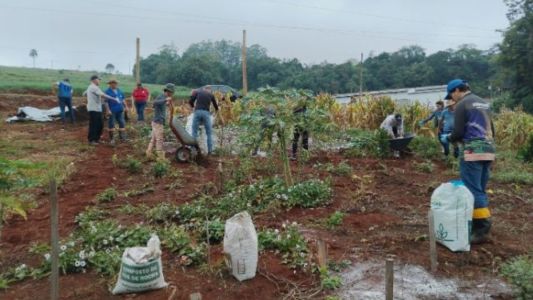 Sistema de Plantio Direto de Hortaliças em Santa Catarina