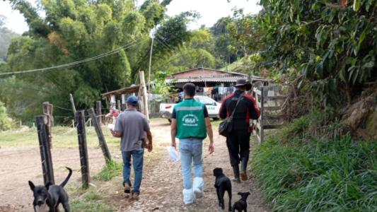 Inspeção sanitária contra gripe aviária na região de Mateus Leme