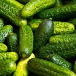 Quais são as propriedades curativas da casca do pepino e como consumi-la?
