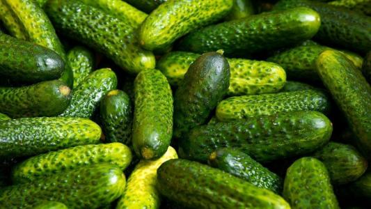 Pepinos pequenos
