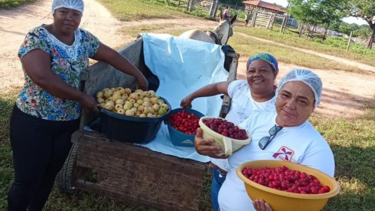 Comunidade do Norte de Minas aposta em produção de polpas de frutas do Cerrado