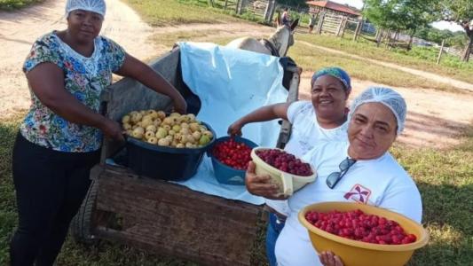 Mulheres com cestas de frutas