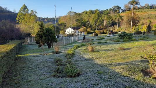 Geada no Campo da Epamig em Maria da Fé