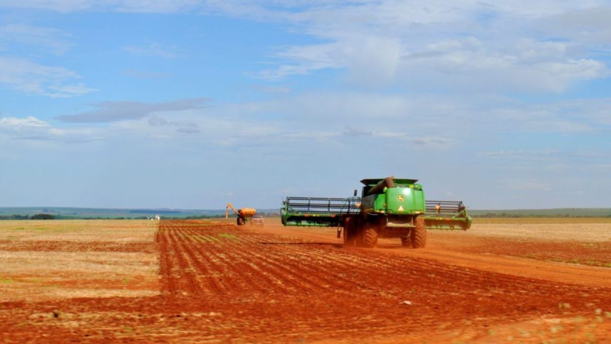 Vazio sanitário da soja entra em vigor no MS para controlar a ferrugem asiática
