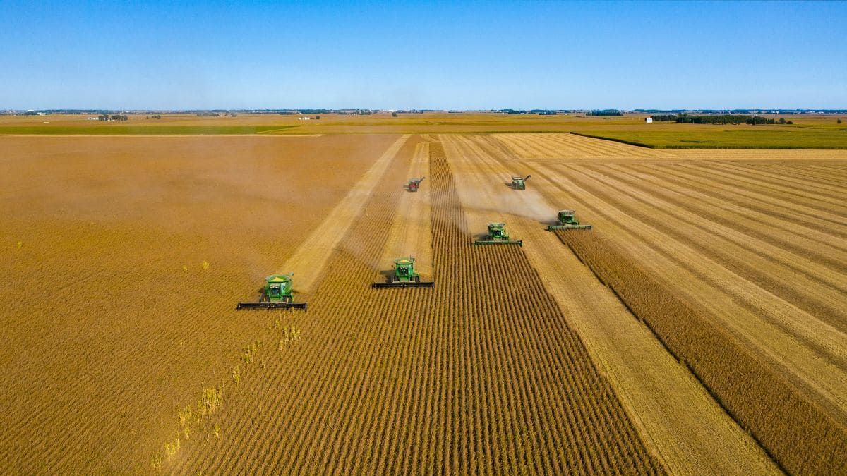 PIB do Agronegócio cresce 6,49% no primeiro trimestre e deve bater recorde em 2025