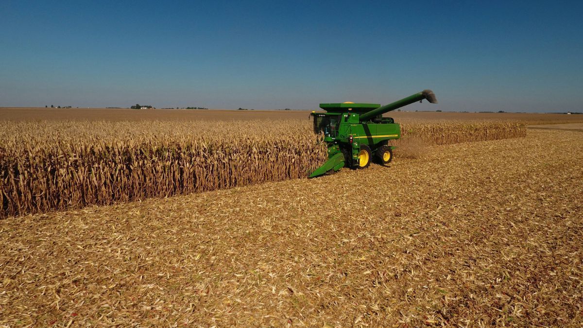 Frio impacta colheita do milho 2ª safra em alguns estados