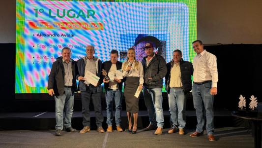 Vencedores do concurso