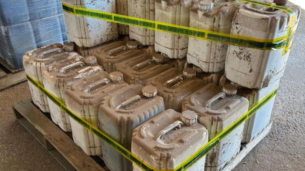 Mapa apreende mais de 50 toneladas de soja e 2 mil litros de produtos no RS