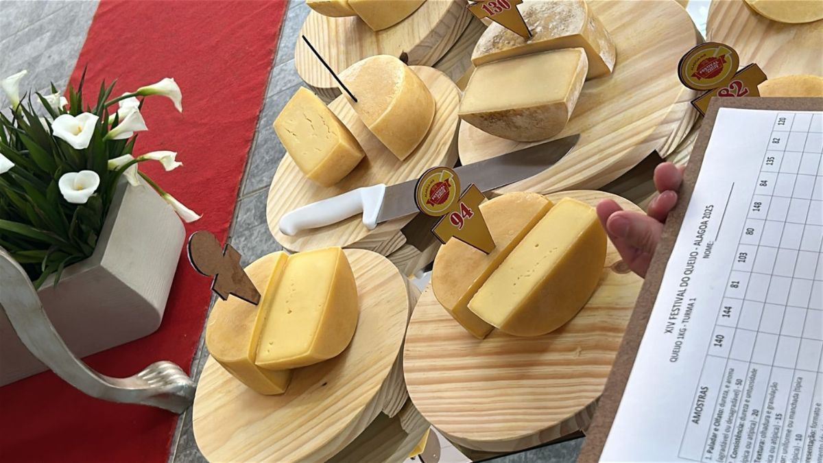 Nove queijos são premiados no Festival de Queijos e Azeites Alagoa; veja lista