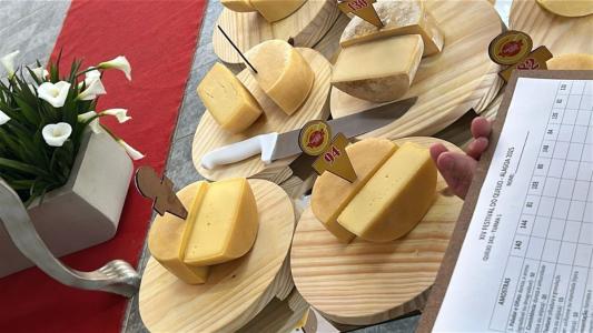Queijos premiados para degustação