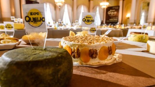 Queijos do concurso de 2024 da Expoqueijo