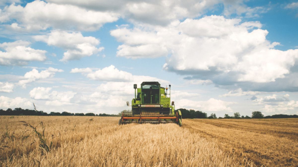 Governo anuncia a liberação de mais recursos para a contratação de seguro rural