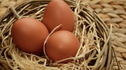 Três ovos vermelhos envolvidos em palha