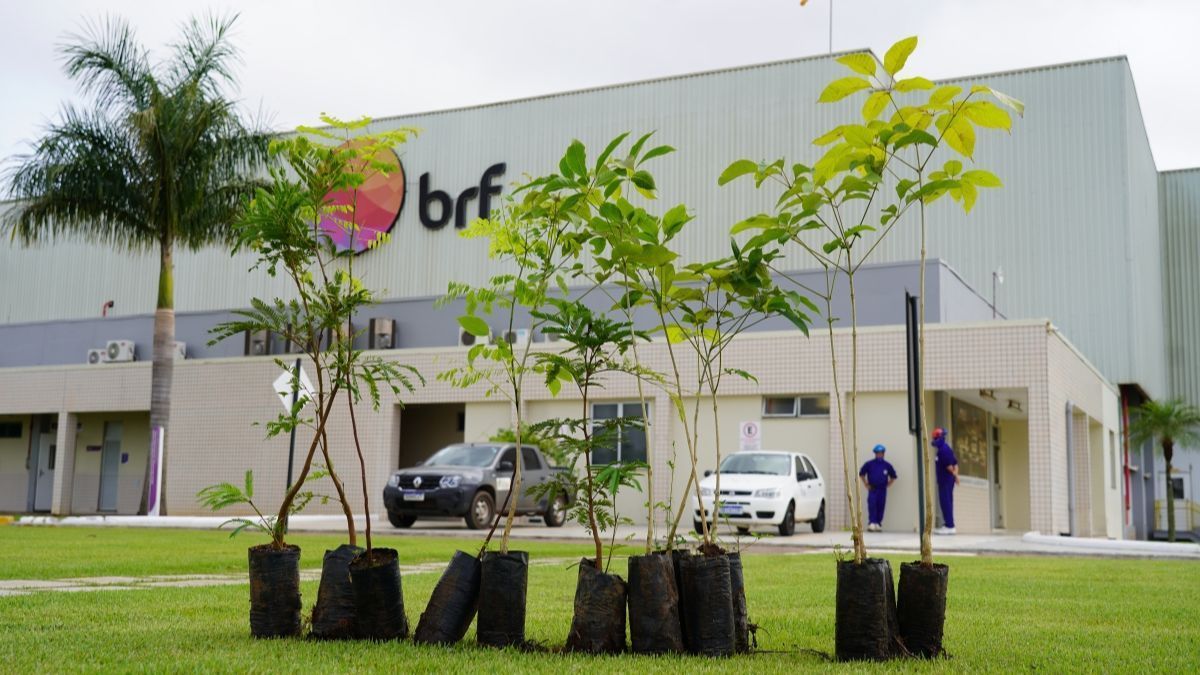 Frigorífico é condenado após funcionária entrar em trabalho de parto e perder bebês