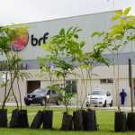Frigorífico é condenado após funcionária entrar em trabalho de parto e perder bebês