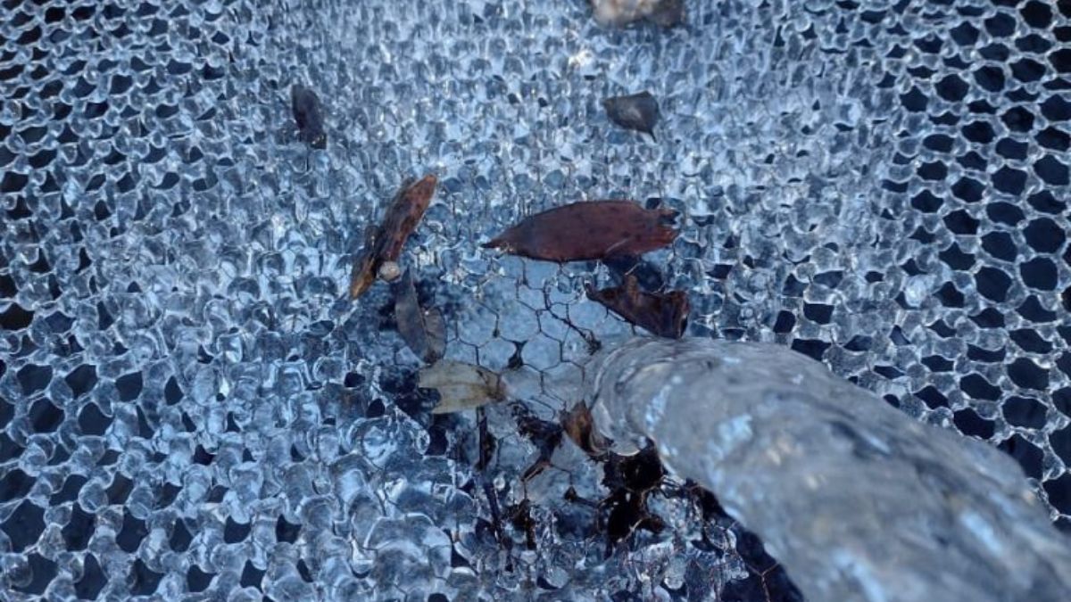 Instituto de Pesca orienta o manejo de espécies durante o inverno