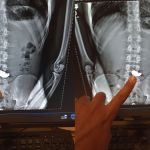 Suspeito de roubar corrente de ouro na Feira Hippie, em BH, é levado para o Ceresp Gameleira