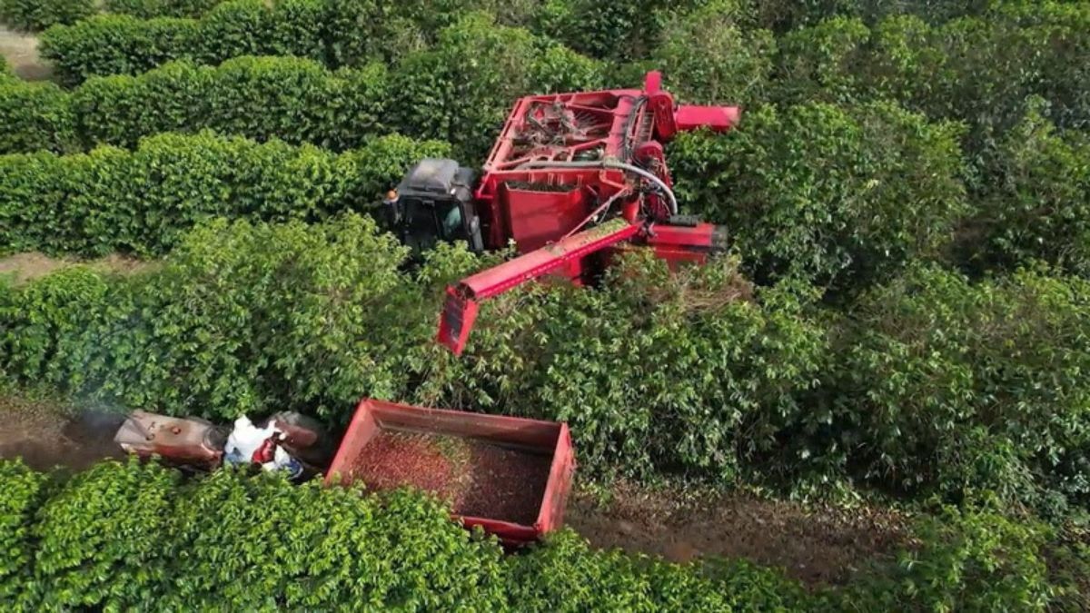 Agronegócio mineiro bate recorde e puxa 22% do PIB do Estado - mesmo com clima desfavorável!