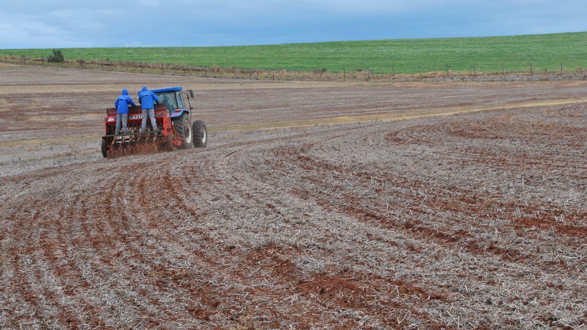 Chuvas no Rio Grande do Sul atrasam semeadura do trigo