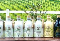Safra 2025: 28 azeites gaúchos conquistam selos de qualidade