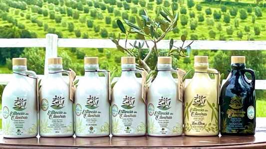 Sete azeites da marca Estância das Oliveiras premiados no TerraOlivo 2025