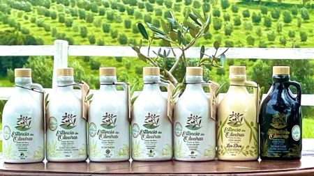 Sete azeites da marca Estância das Oliveiras premiados no TerraOlivo 2025