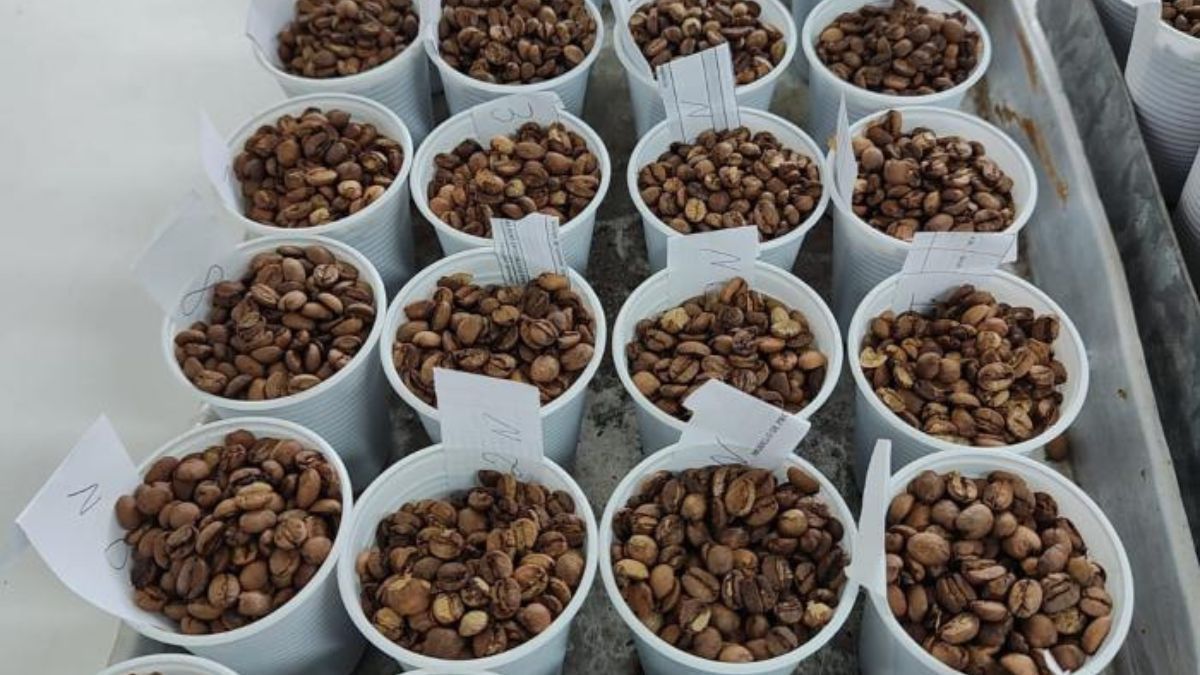 Concurso de Cafés de Qualidade da Região de Viçosa está com inscrições abertas