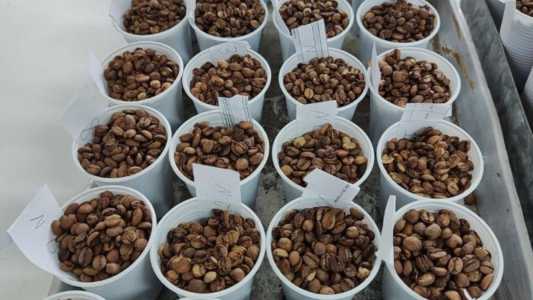 Cafés para concurso