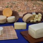 Catálogo com roteiros e produtos do turismo rural mineiro reúne principais destinos e experiências
