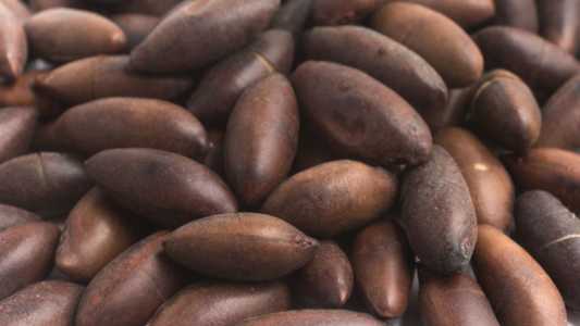Castanhas de Baru