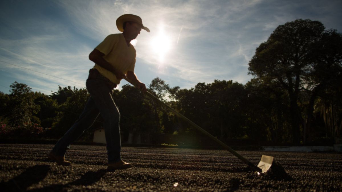 Agro baiano bate recorde, aumentando 509% os empregos do setor em maio