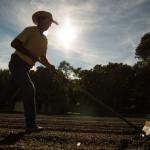 Agro baiano bate recorde, aumentando 509% os empregos do setor em maio
