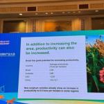 Brasil é destaque em conferência e discute exportação de sorgo para a China