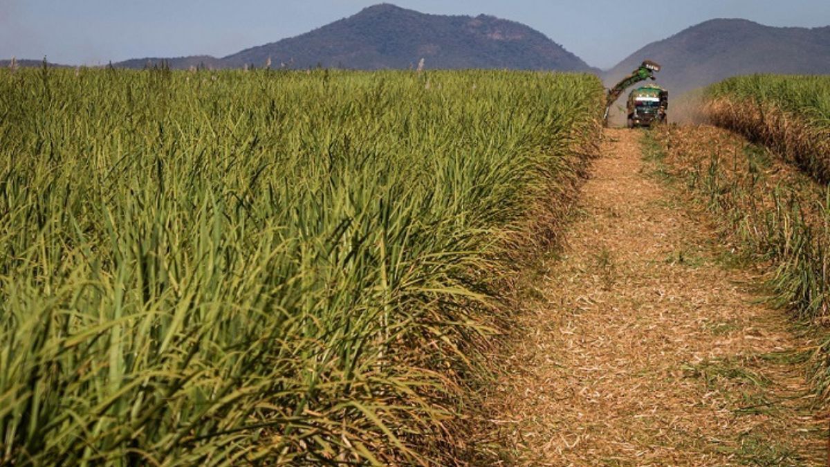 Prazo para pagamento do CCIR 25 termina nesta quinta-feira (17)