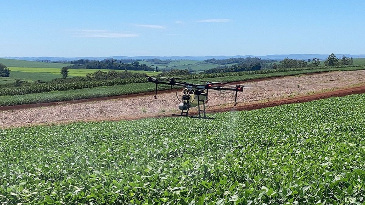 Tarifaço: Ministério do Desenvolvimento Agrário sugere ao governo compra de produtos que não serão exportados