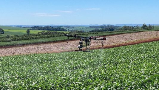 Drone em plantação