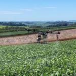 Tarifaço: Ministério do Desenvolvimento Agrário sugere ao governo compra de produtos que não serão exportados